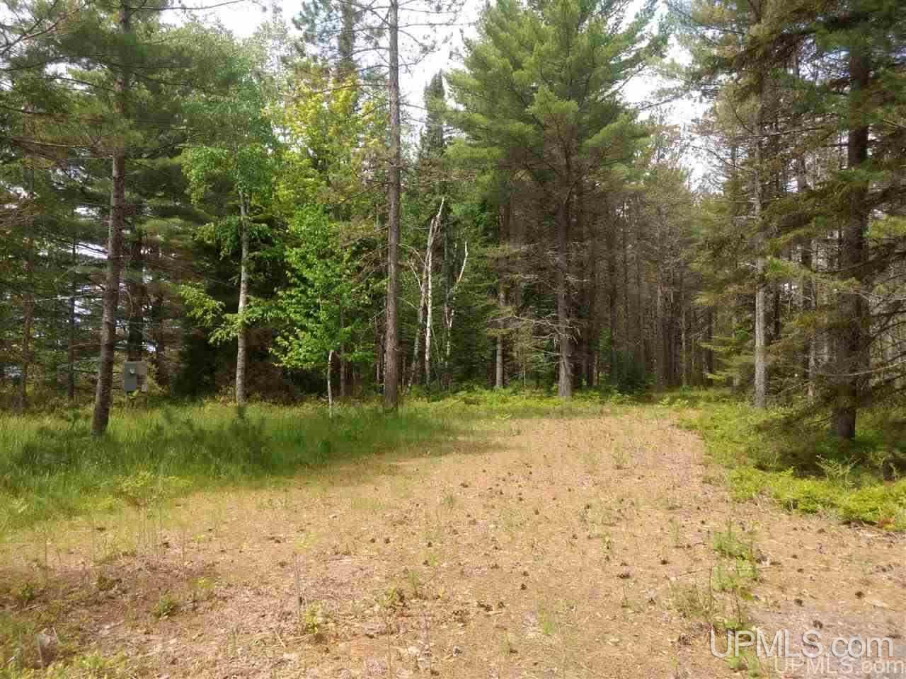 Tbd Rice Landing Road, Unit 13 Lake Linden, MI 49945 - Photo 11 of 35