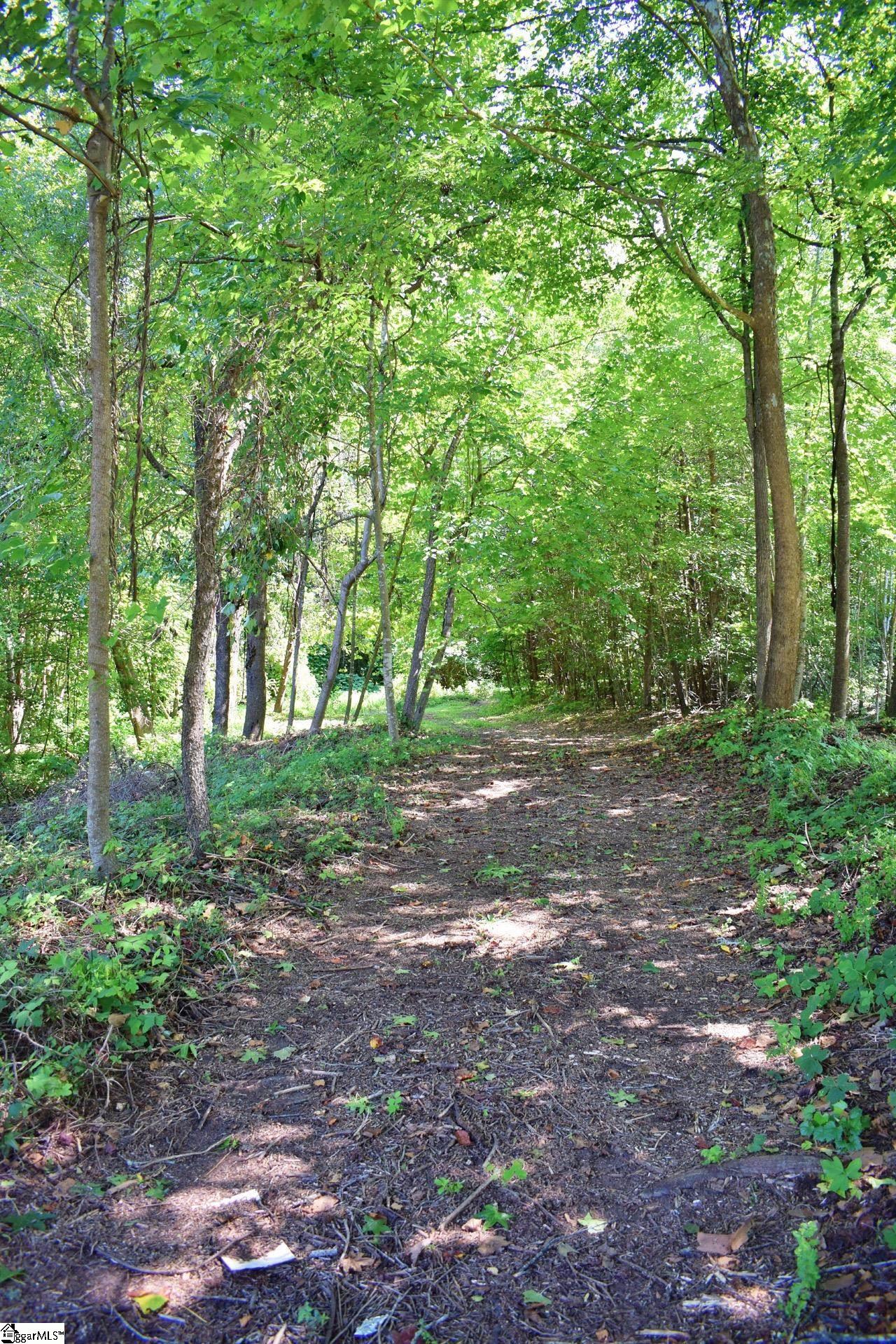 Dacusville Road Marietta, SC 29661 - Photo 1 of 32