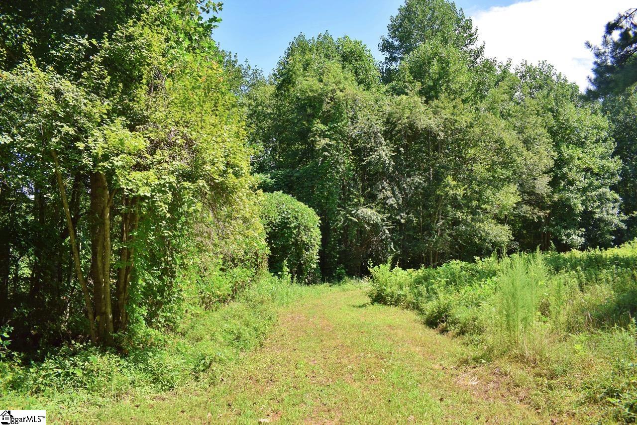 Dacusville Road Marietta, SC 29661 - Photo 2 of 32