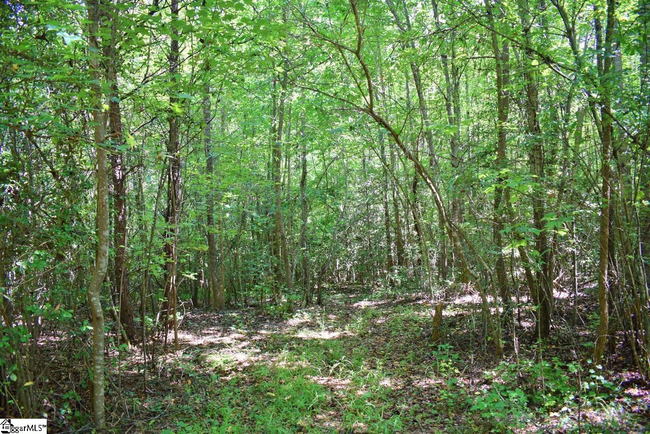 Dacusville Road Marietta, SC 29661 - Photo 11 of 32