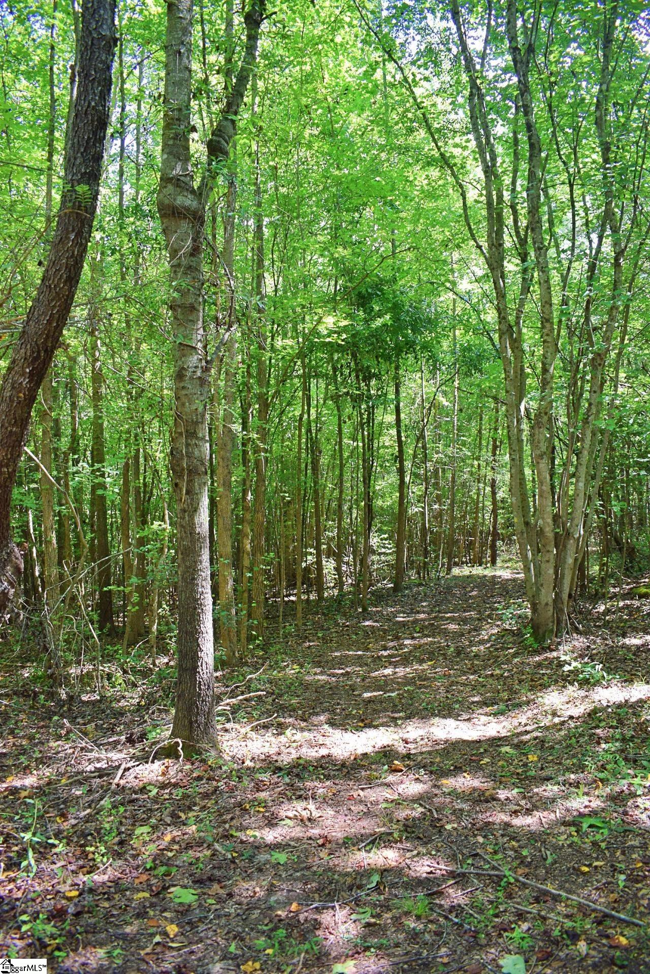 Dacusville Road Marietta, SC 29661 - Photo 12 of 32