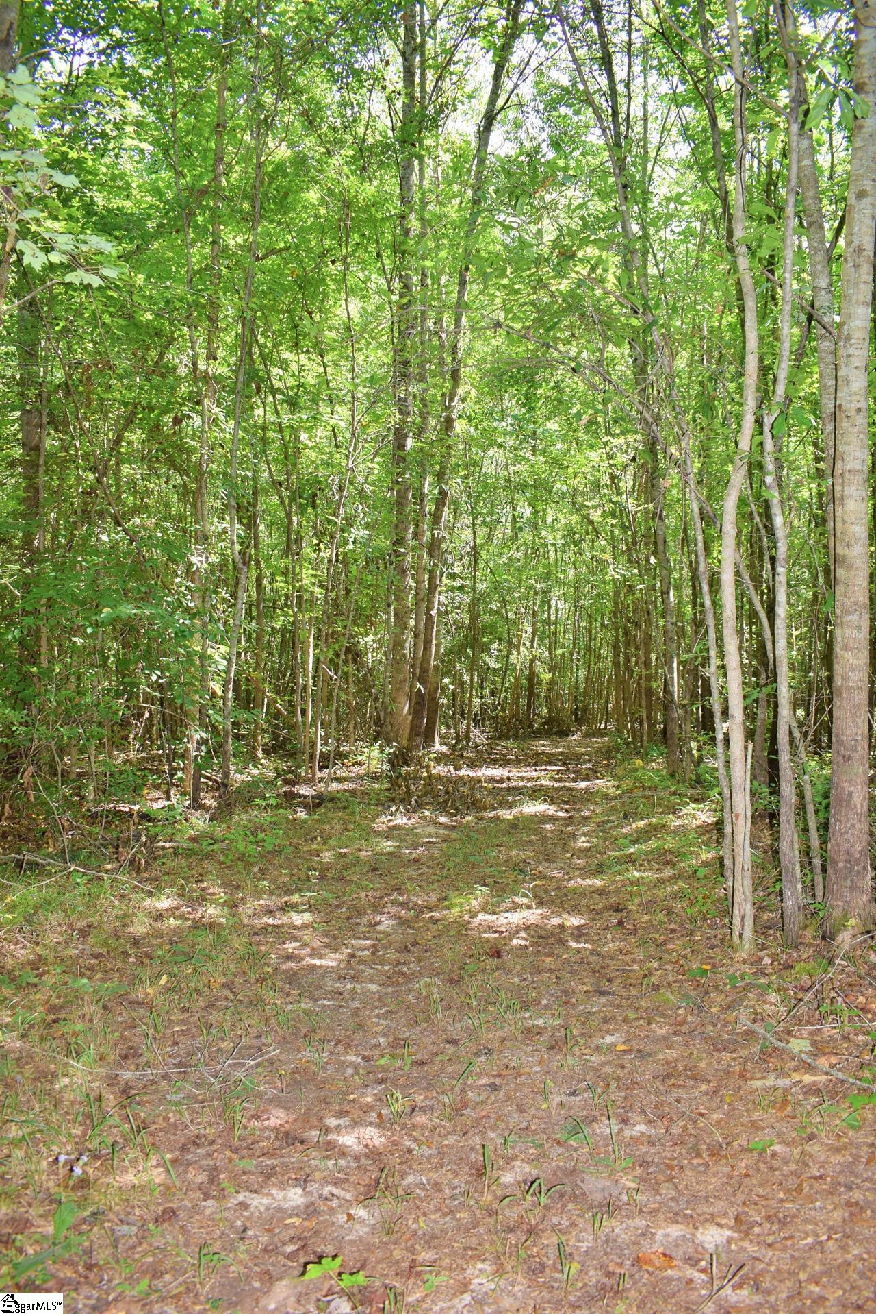 Dacusville Road Marietta, SC 29661 - Photo 13 of 32