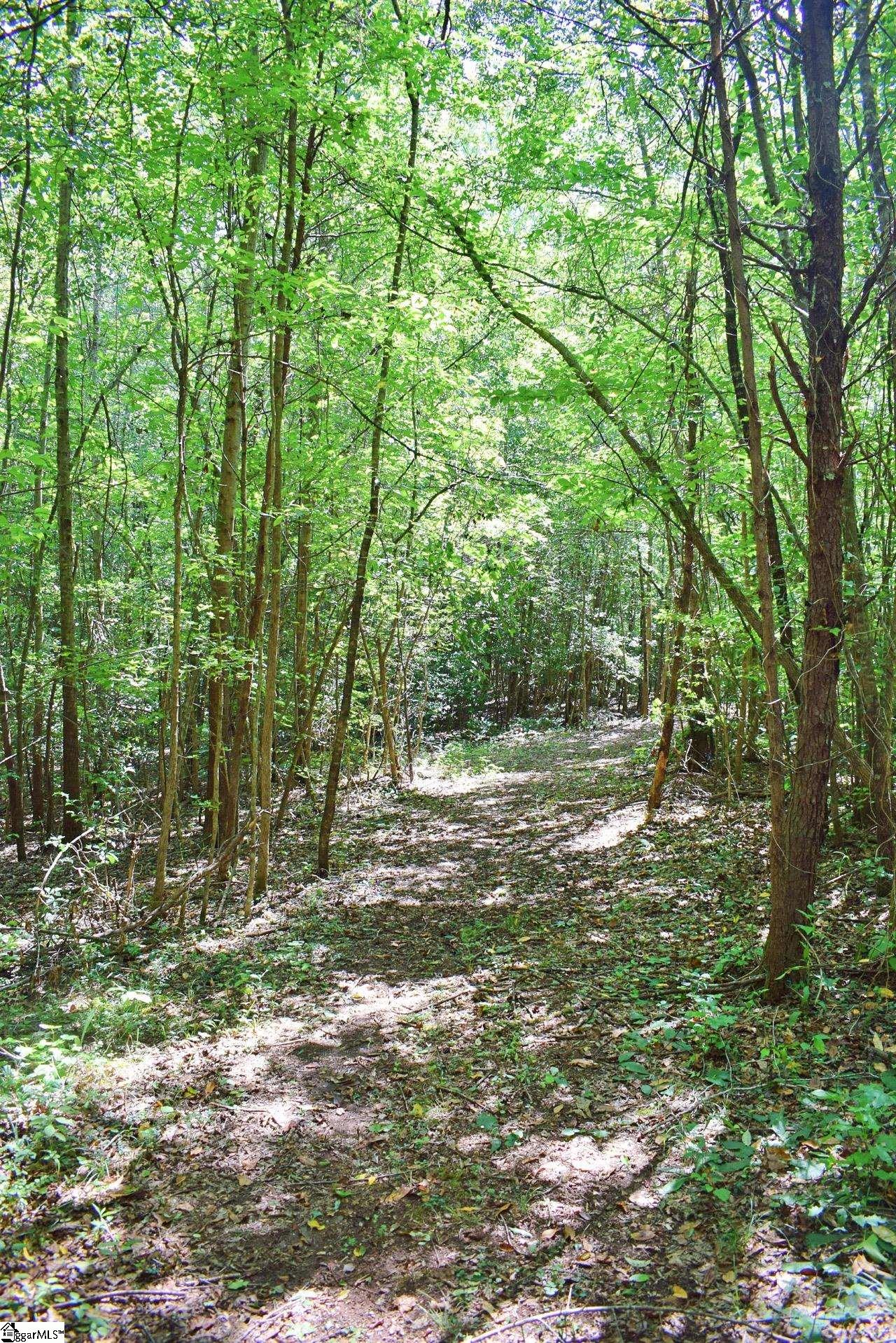 Dacusville Road Marietta, SC 29661 - Photo 15 of 32