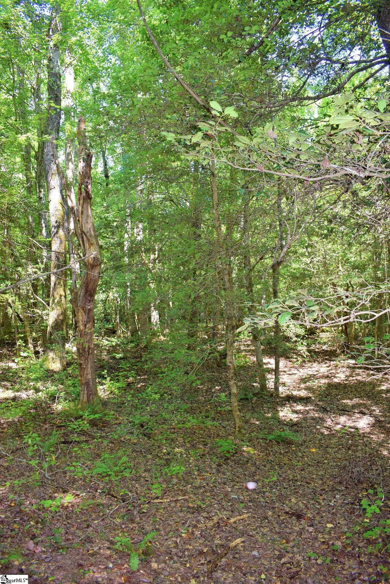 Dacusville Road Marietta, SC 29661 - Photo 17 of 32