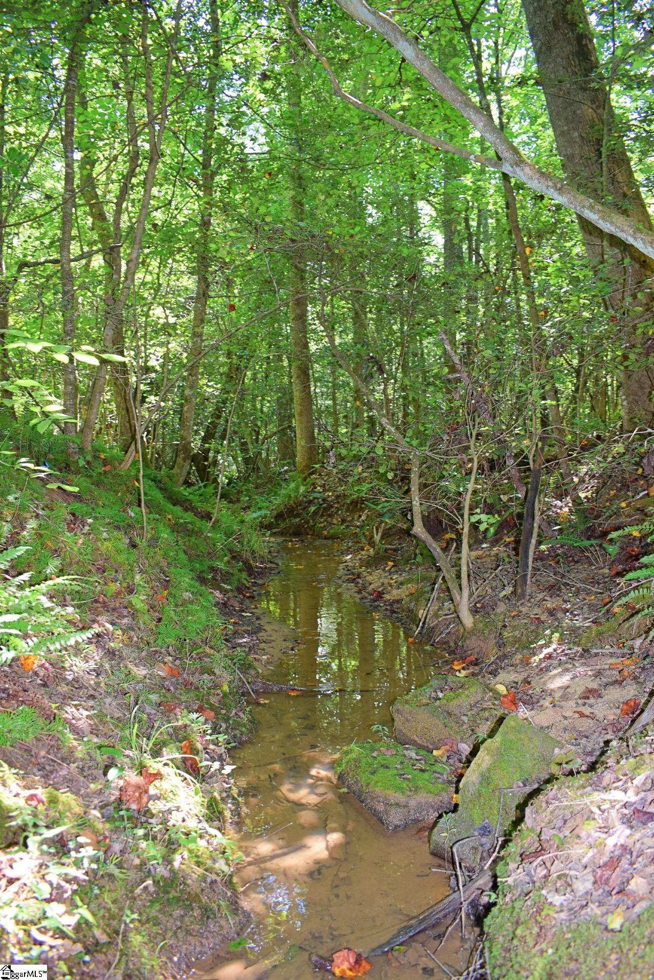 Dacusville Road Marietta, SC 29661 - Photo 18 of 32