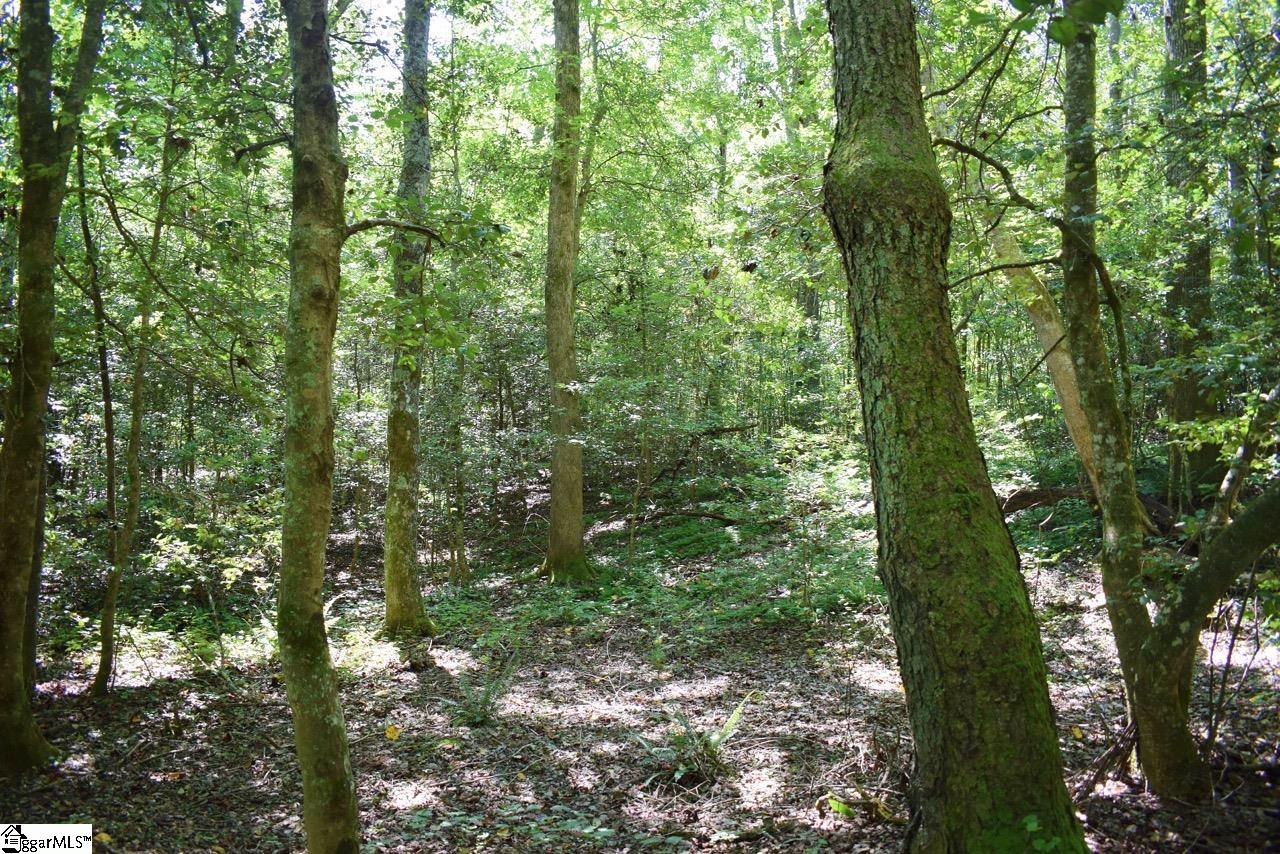 Dacusville Road Marietta, SC 29661 - Photo 20 of 32