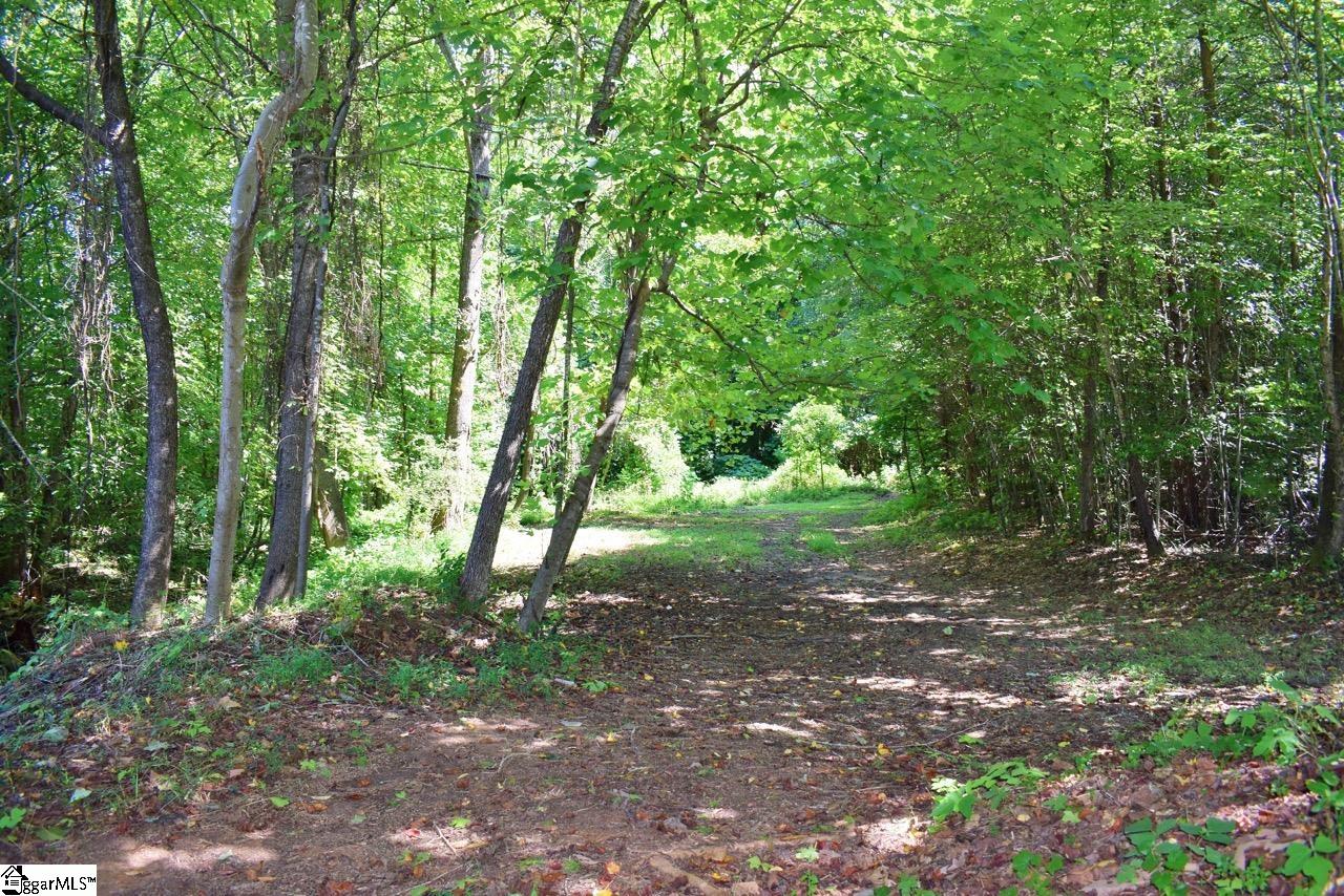 Dacusville Road Marietta, SC 29661 - Photo 3 of 32