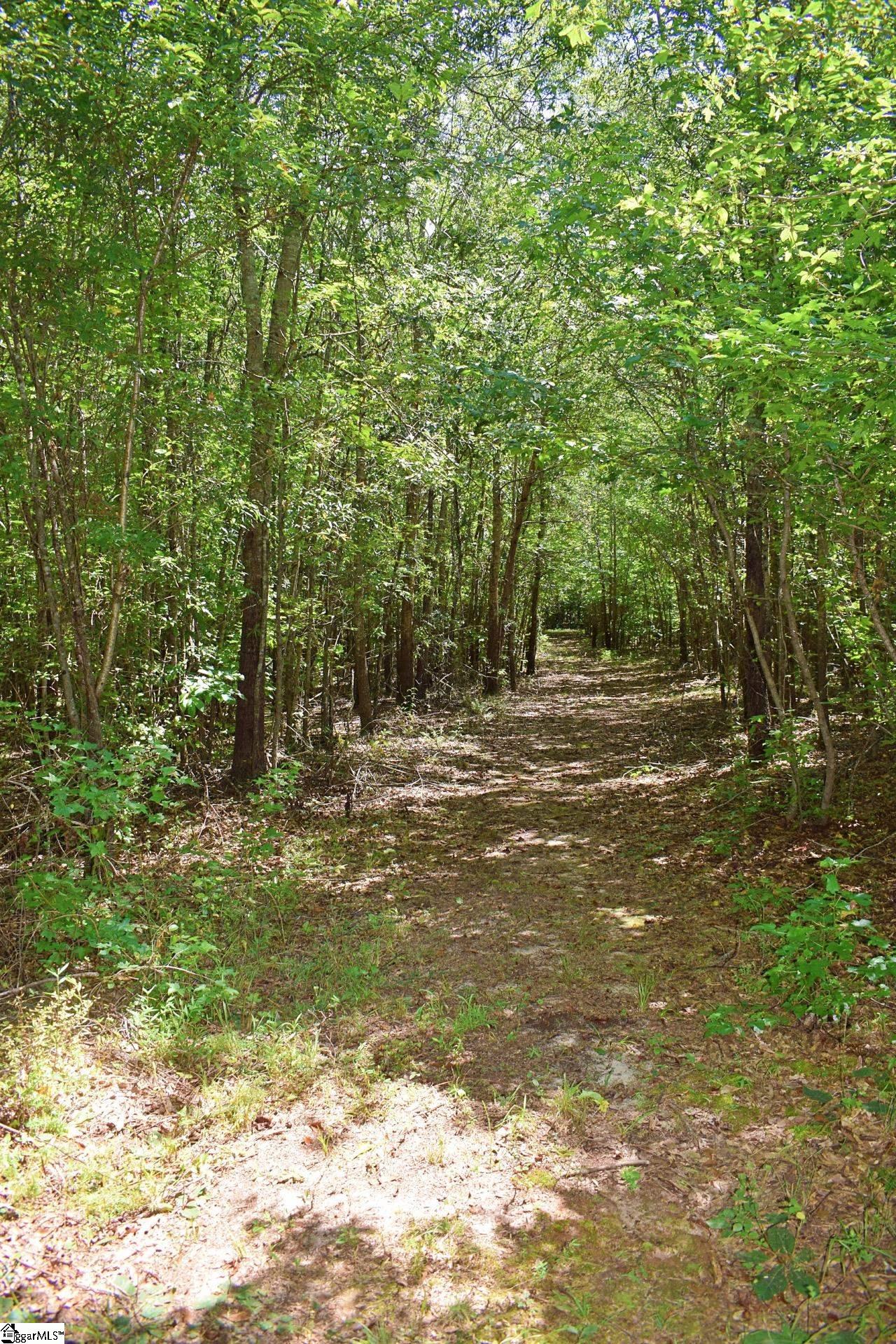 Dacusville Road Marietta, SC 29661 - Photo 21 of 32