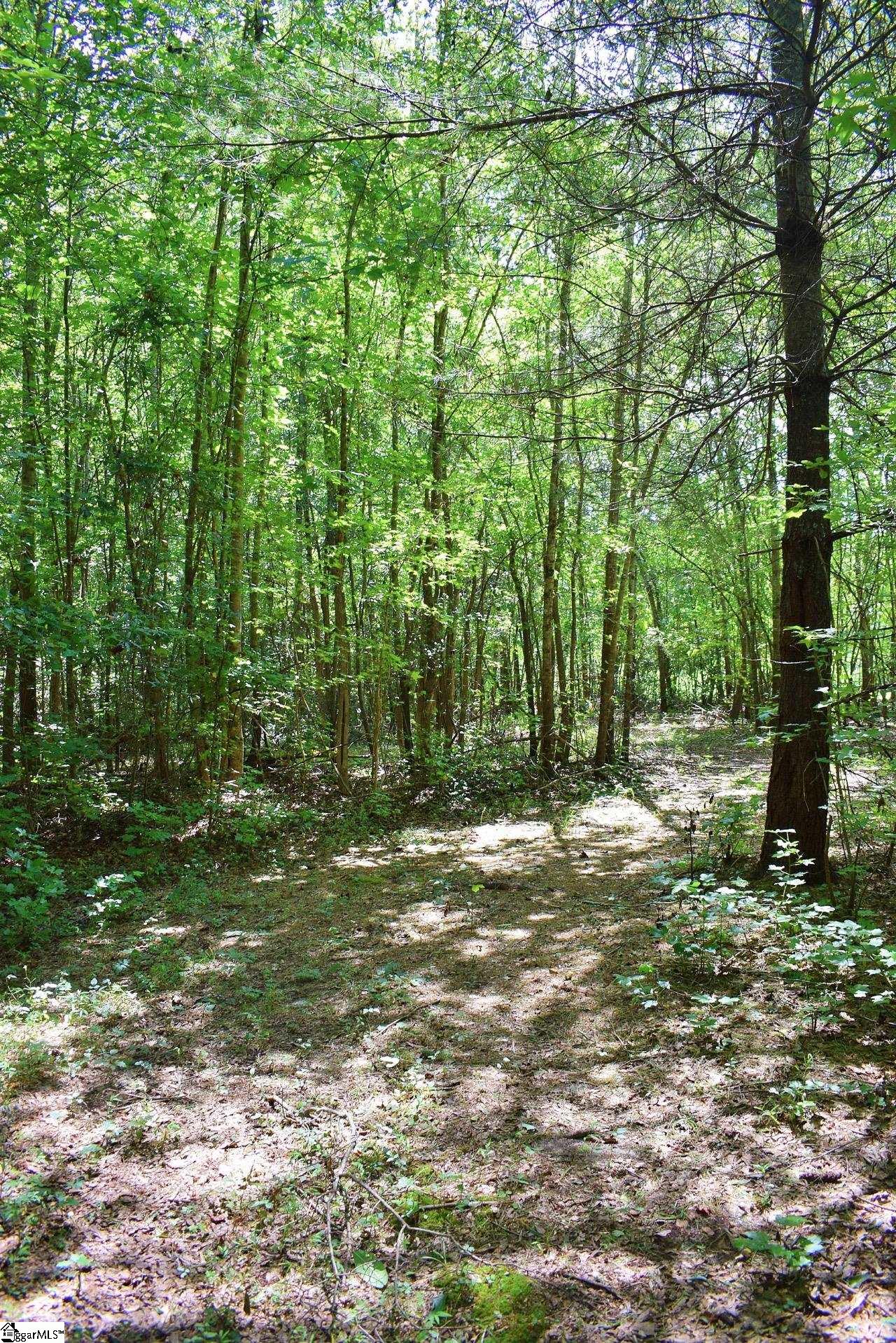 Dacusville Road Marietta, SC 29661 - Photo 22 of 32
