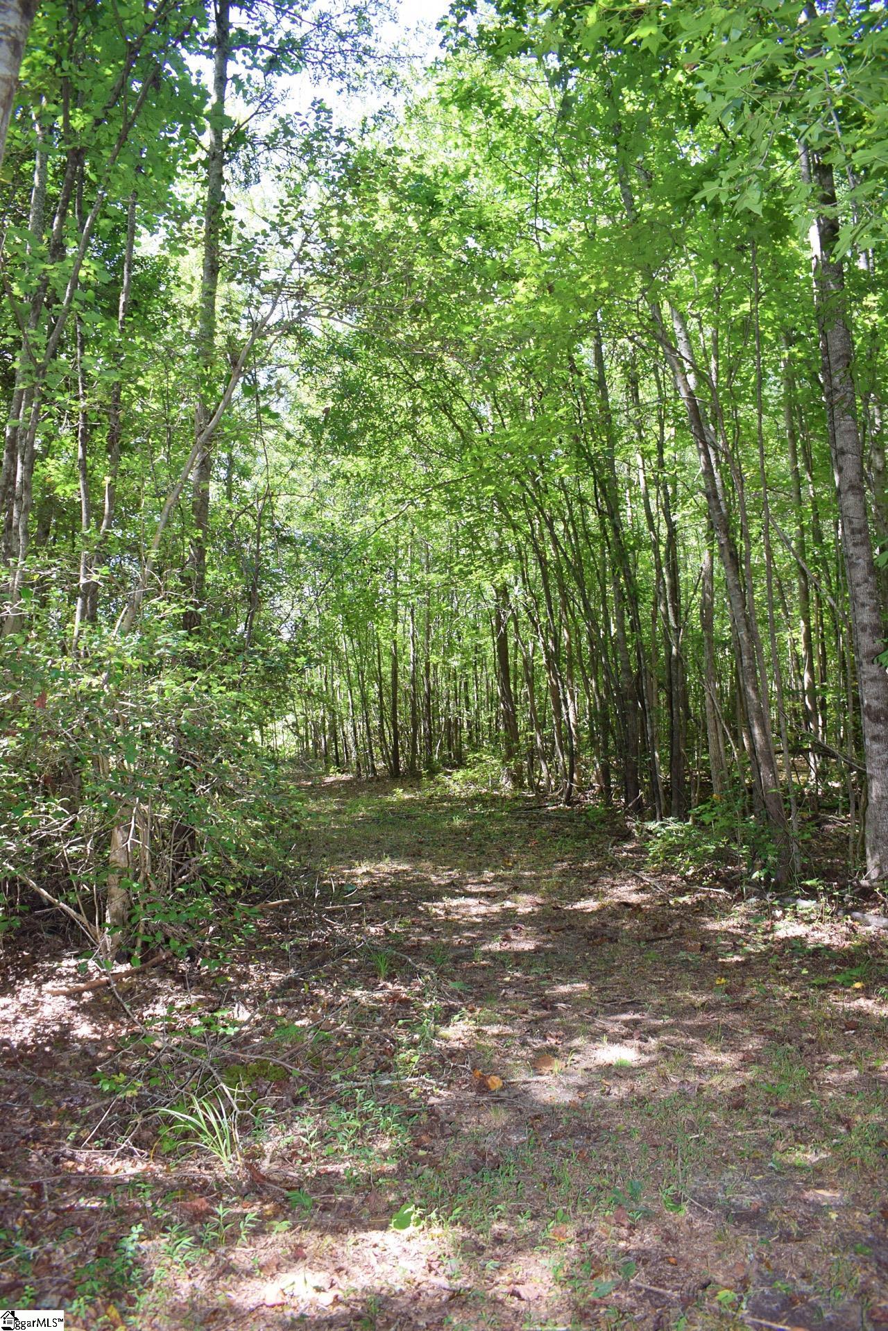 Dacusville Road Marietta, SC 29661 - Photo 23 of 32