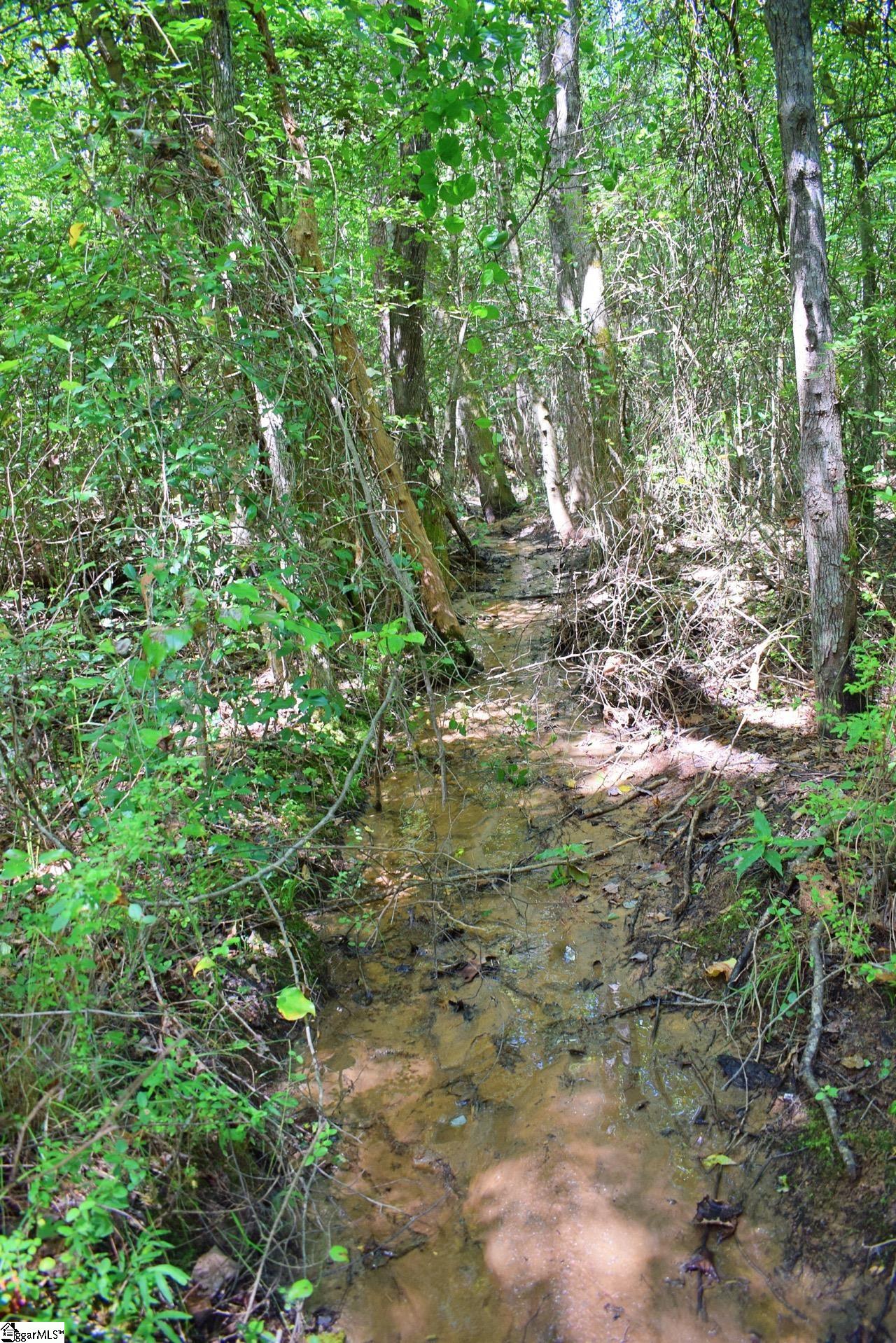 Dacusville Road Marietta, SC 29661 - Photo 24 of 32