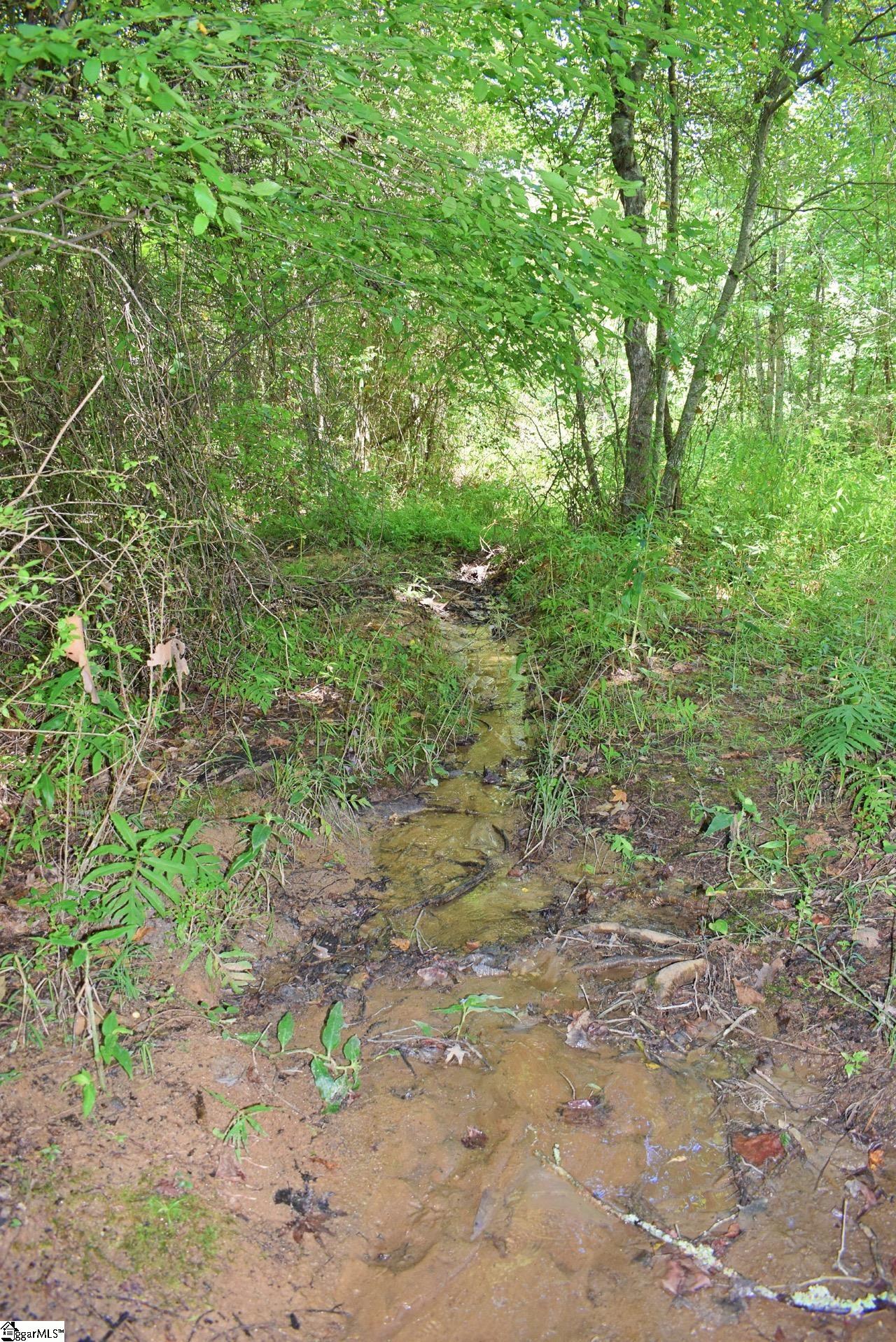 Dacusville Road Marietta, SC 29661 - Photo 25 of 32