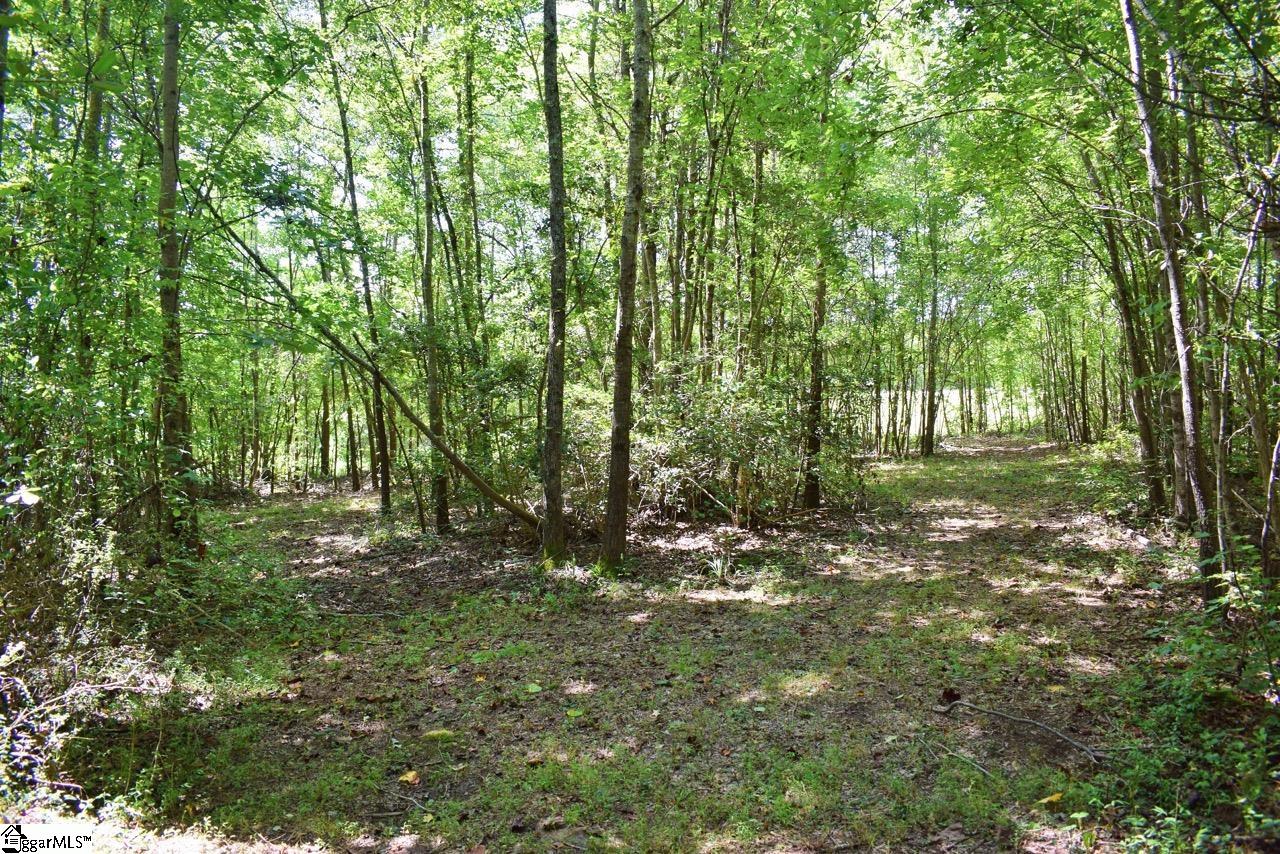 Dacusville Road Marietta, SC 29661 - Photo 26 of 32