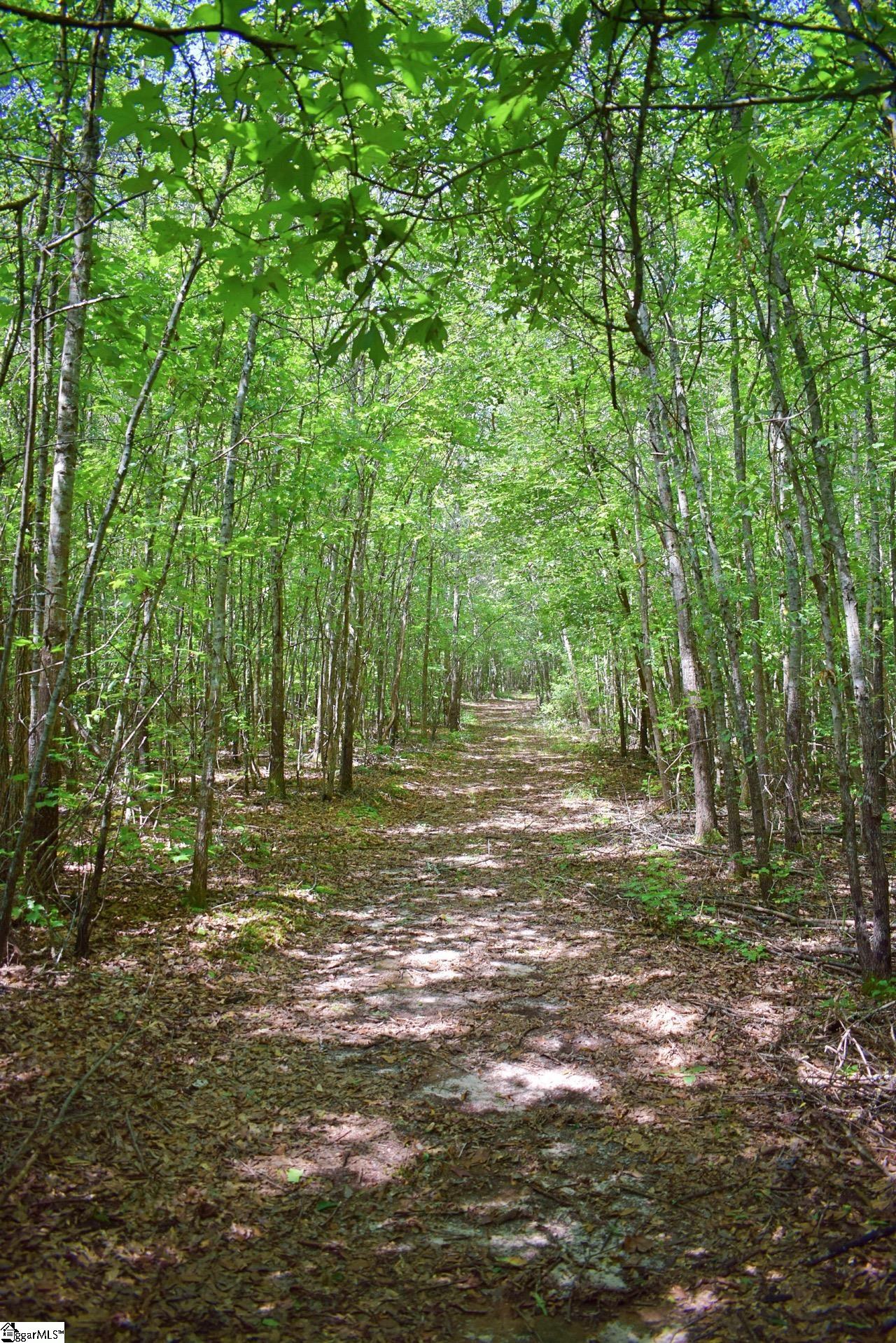Dacusville Road Marietta, SC 29661 - Photo 28 of 32