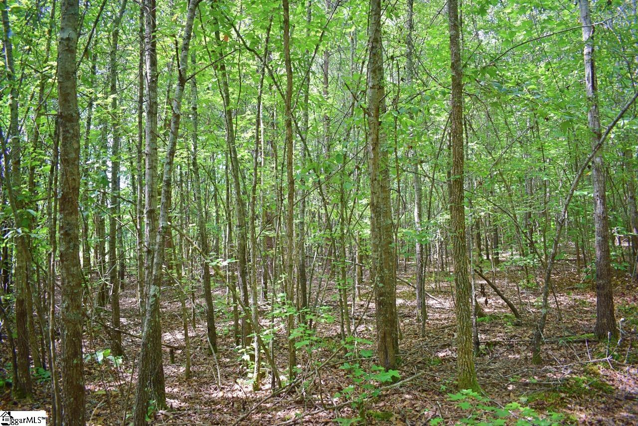 Dacusville Road Marietta, SC 29661 - Photo 29 of 32