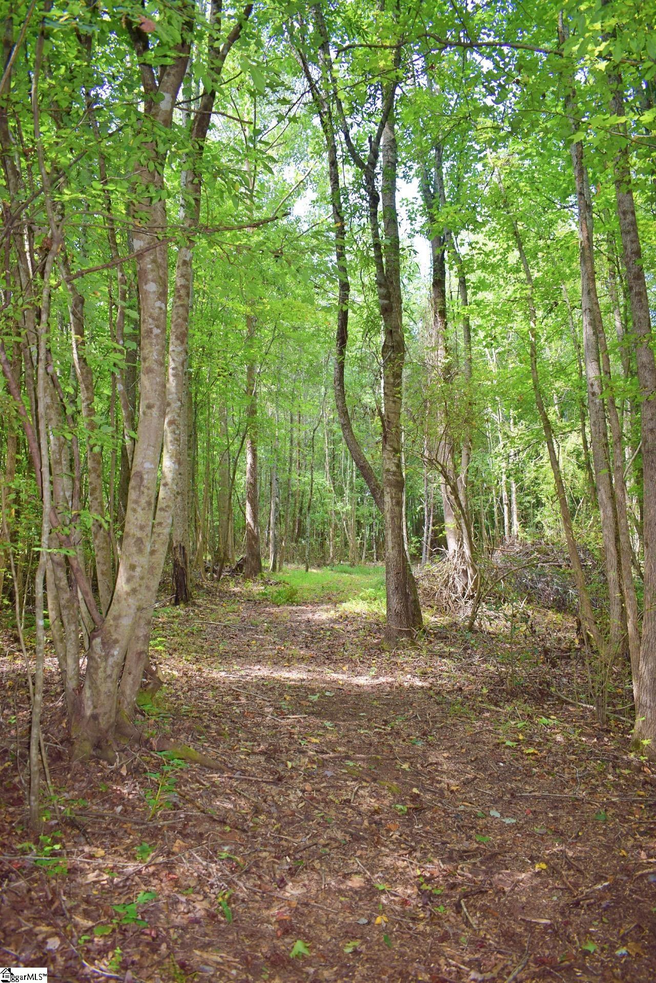 Dacusville Road Marietta, SC 29661 - Photo 30 of 32