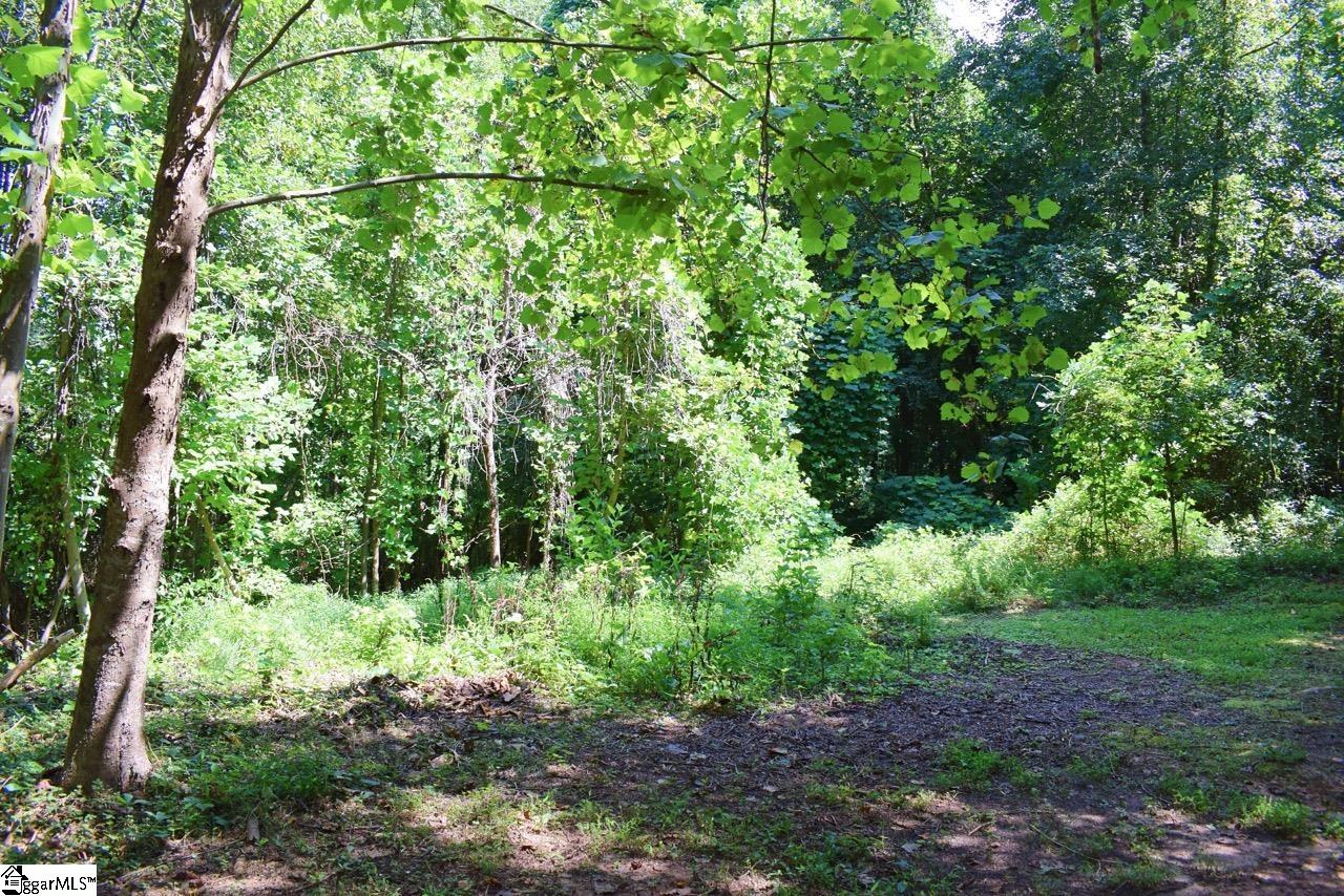 Dacusville Road Marietta, SC 29661 - Photo 4 of 32