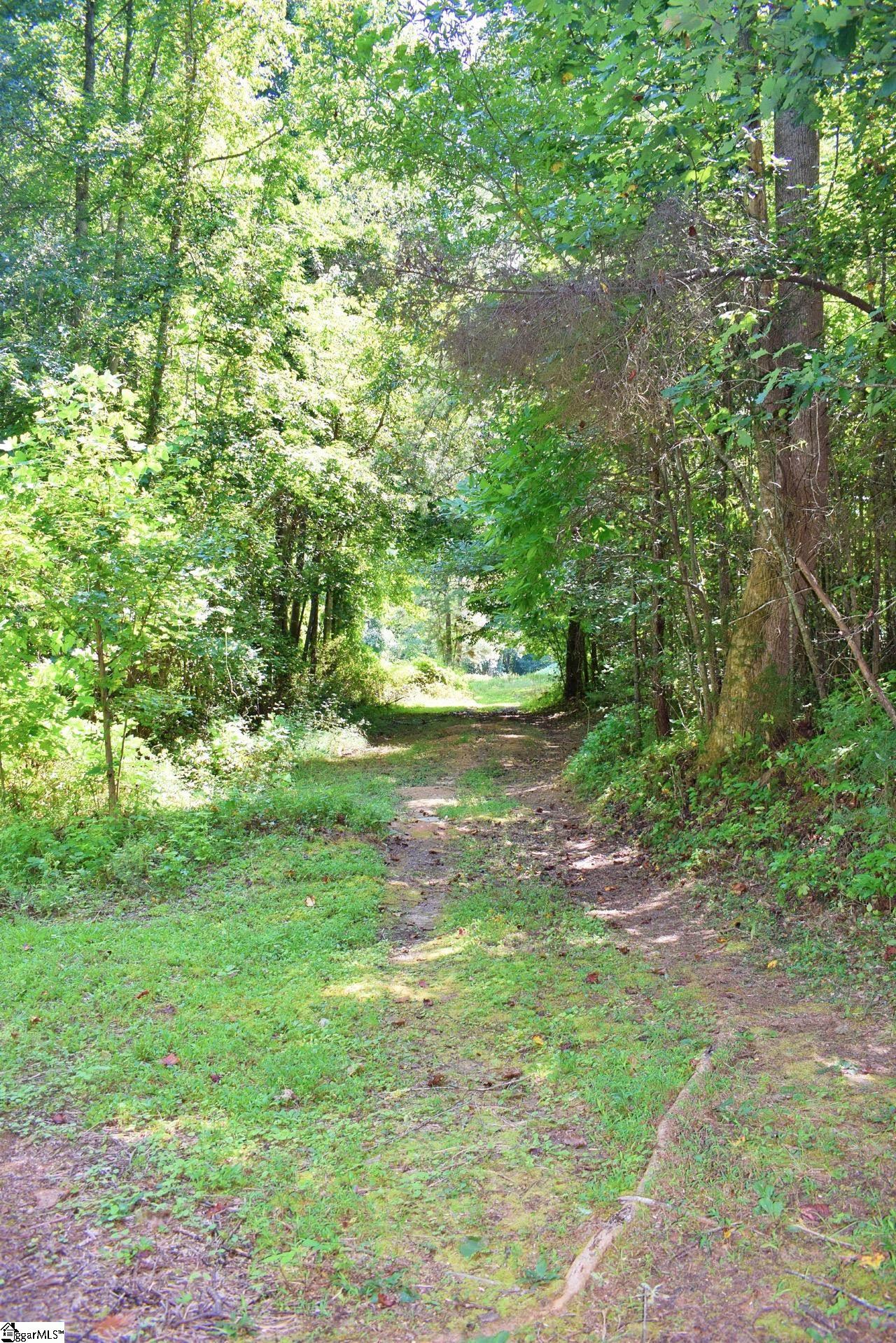 Dacusville Road Marietta, SC 29661 - Photo 5 of 32