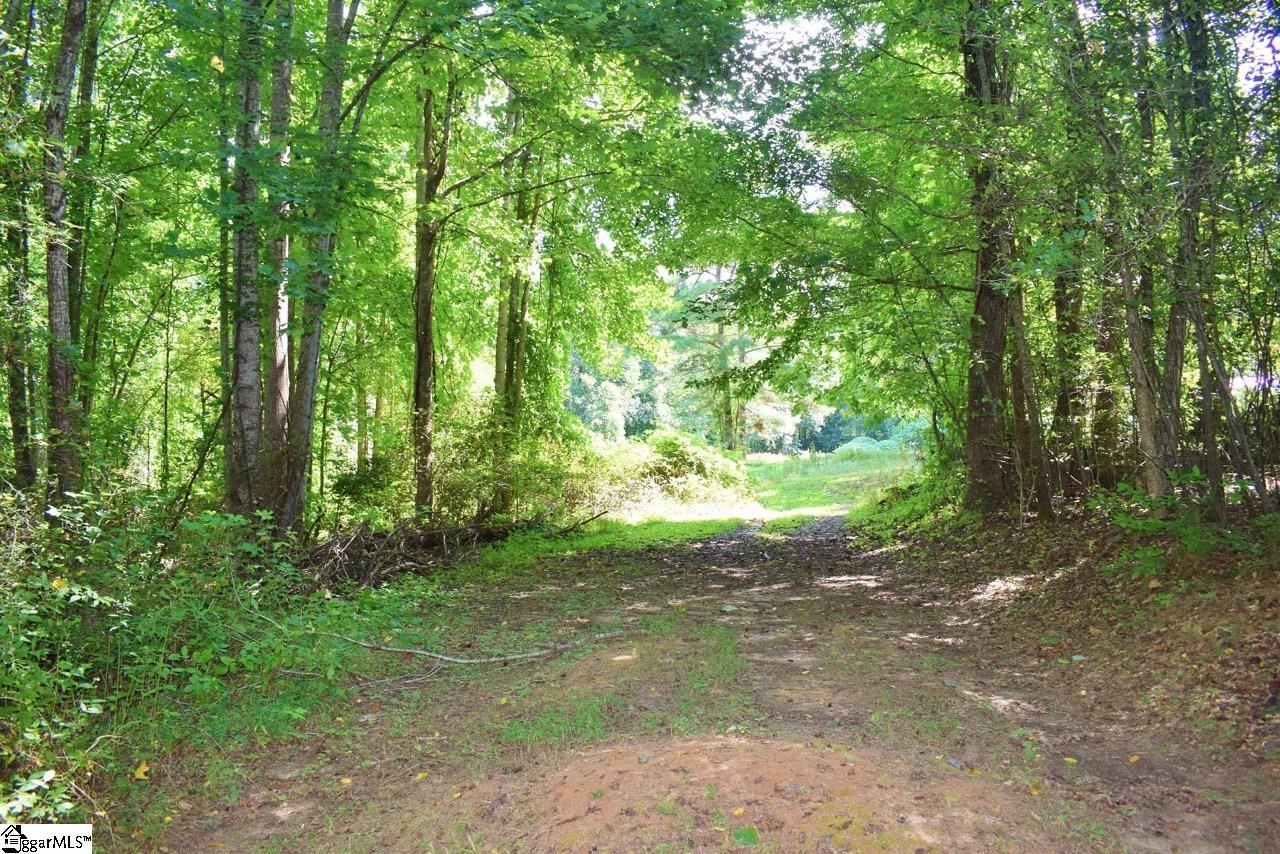 Dacusville Road Marietta, SC 29661 - Photo 6 of 32