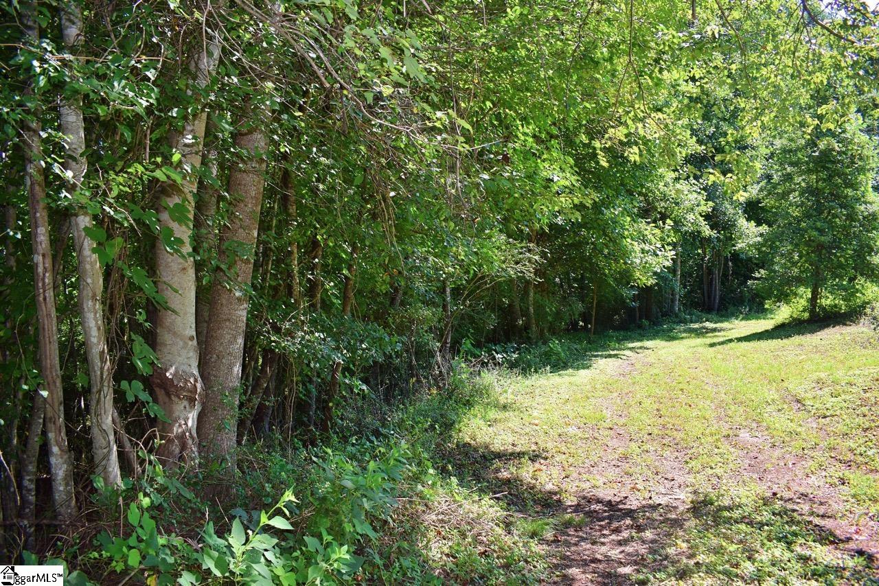 Dacusville Road Marietta, SC 29661 - Photo 7 of 32