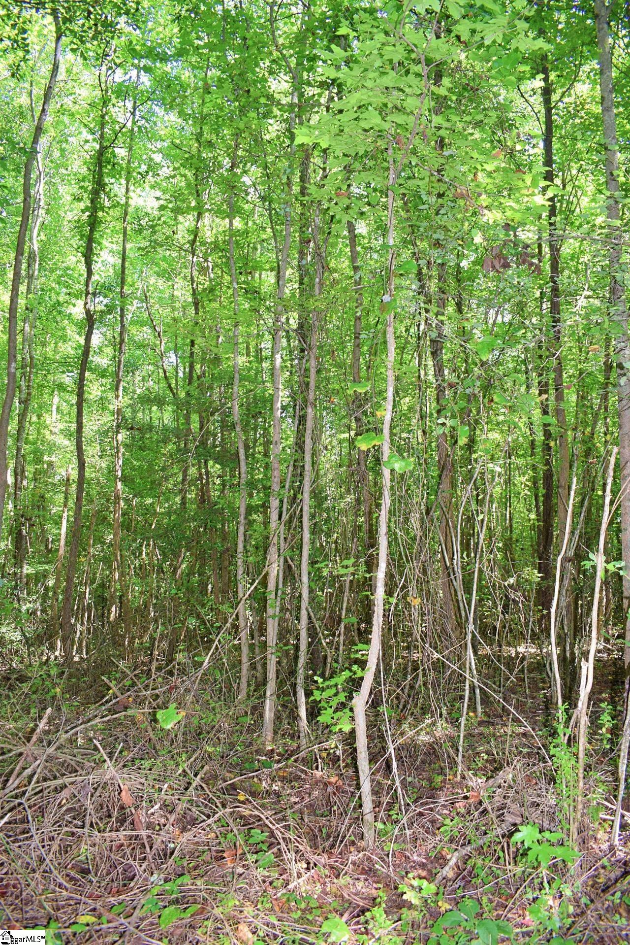 Dacusville Road Marietta, SC 29661 - Photo 9 of 32