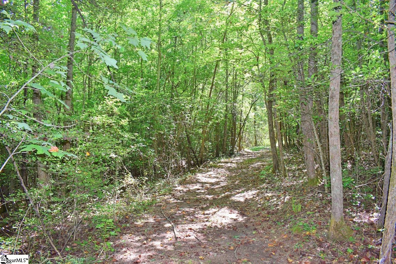 Dacusville Road Marietta, SC 29661 - Photo 10 of 32