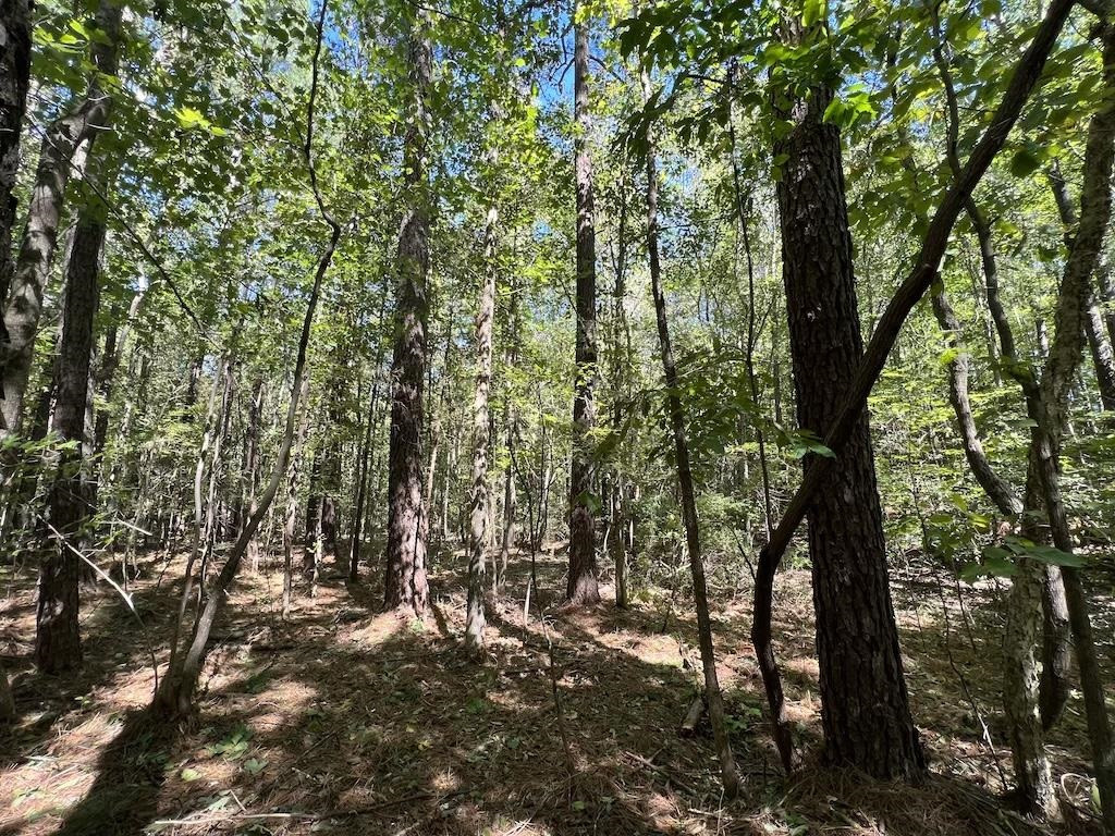 1 Sims Bridge Road Kittrell, NC 27544 - Photo 9 of 30 Photo 9