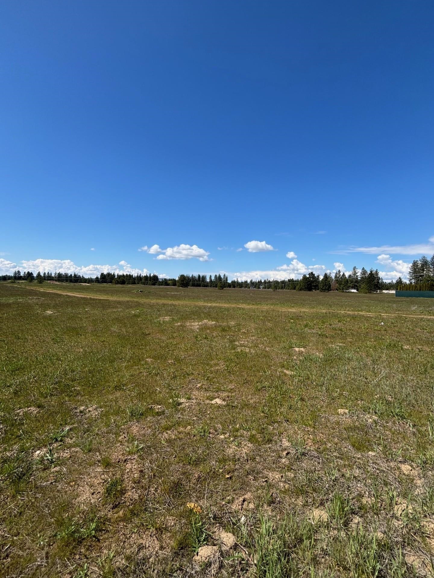 0 North Yale Road Colbert, WA 99005 - Photo 22 of 29