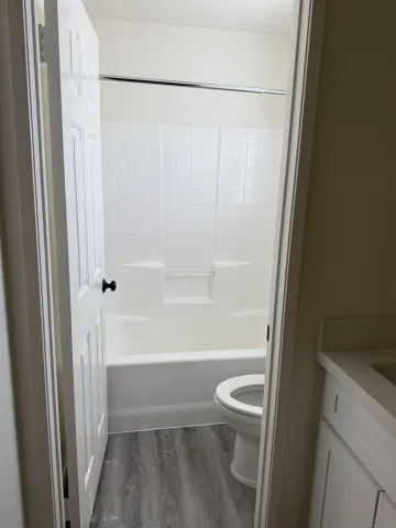 a view of a park with large trees