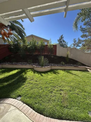 a view of a backyard