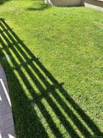 a view of a big room with closet and windows