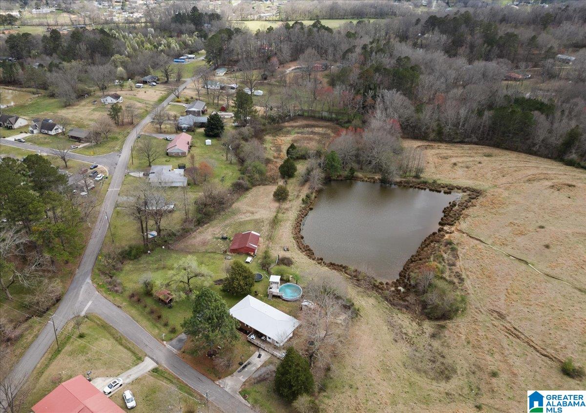 31 Briarwood Road Blountsville, AL 35031 - Photo 9 of 30