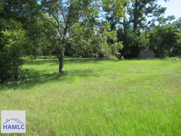$199,000 | 0 Highway 280 West Reidsville Ga 30453, Claxton, GA 30417
