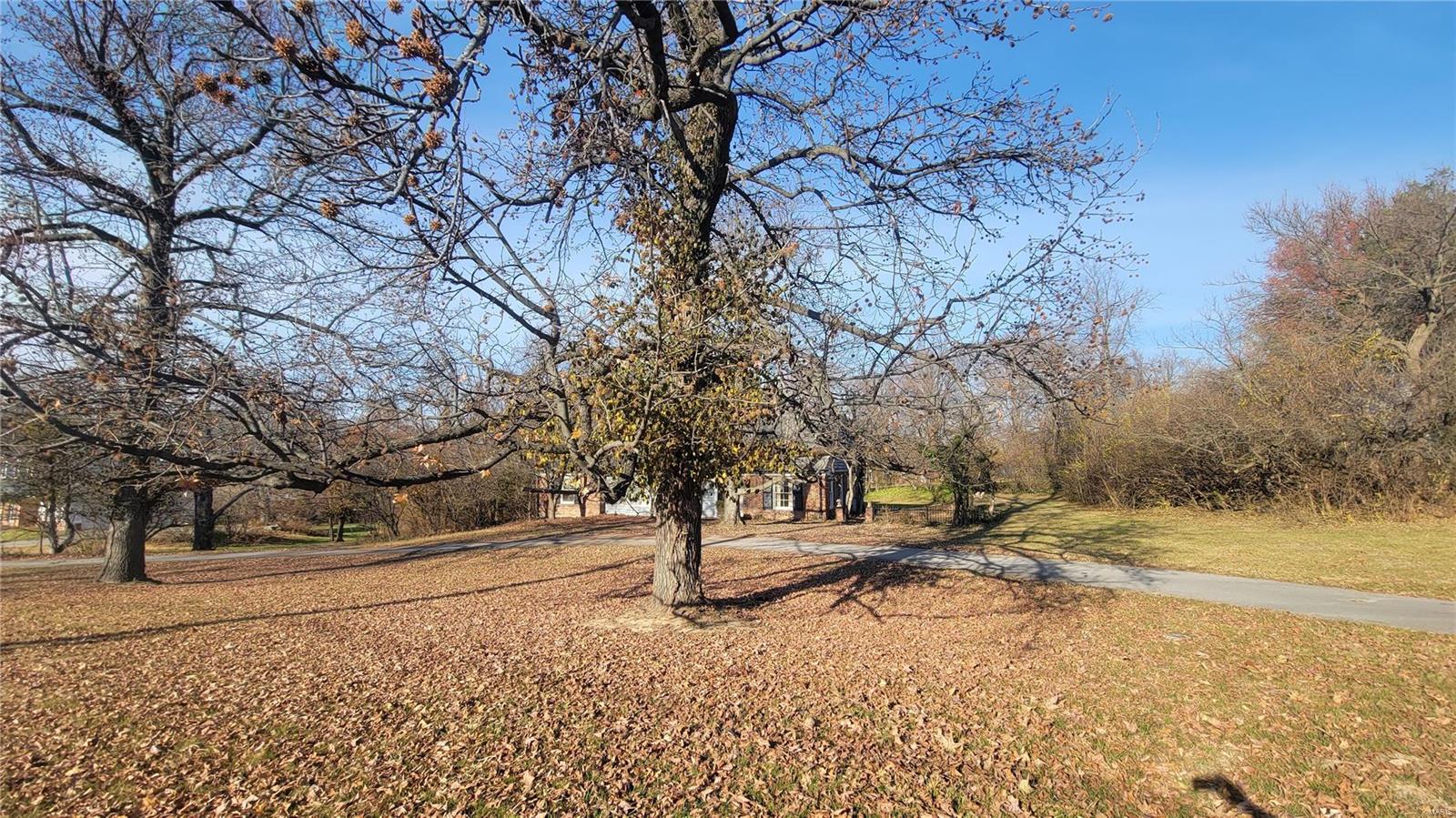 12403 Conway Road St. Louis, MO 63141 - Photo 2 of 8 Gallery Image 2