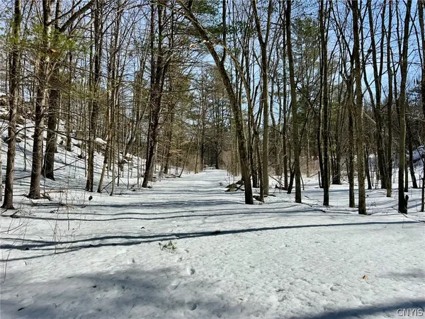 $339,999 | 93 A South Woods Road, Unit B, Hammond, NY 13646