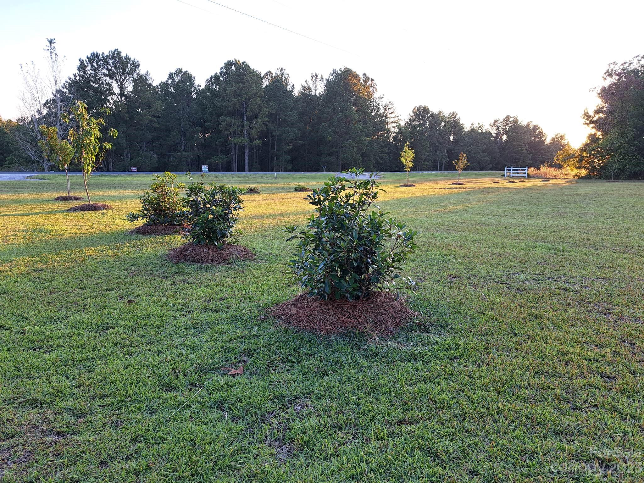 4652 Bethune Road Kershaw, SC 29067 - Photo 6 of 33 Gallery Image 6