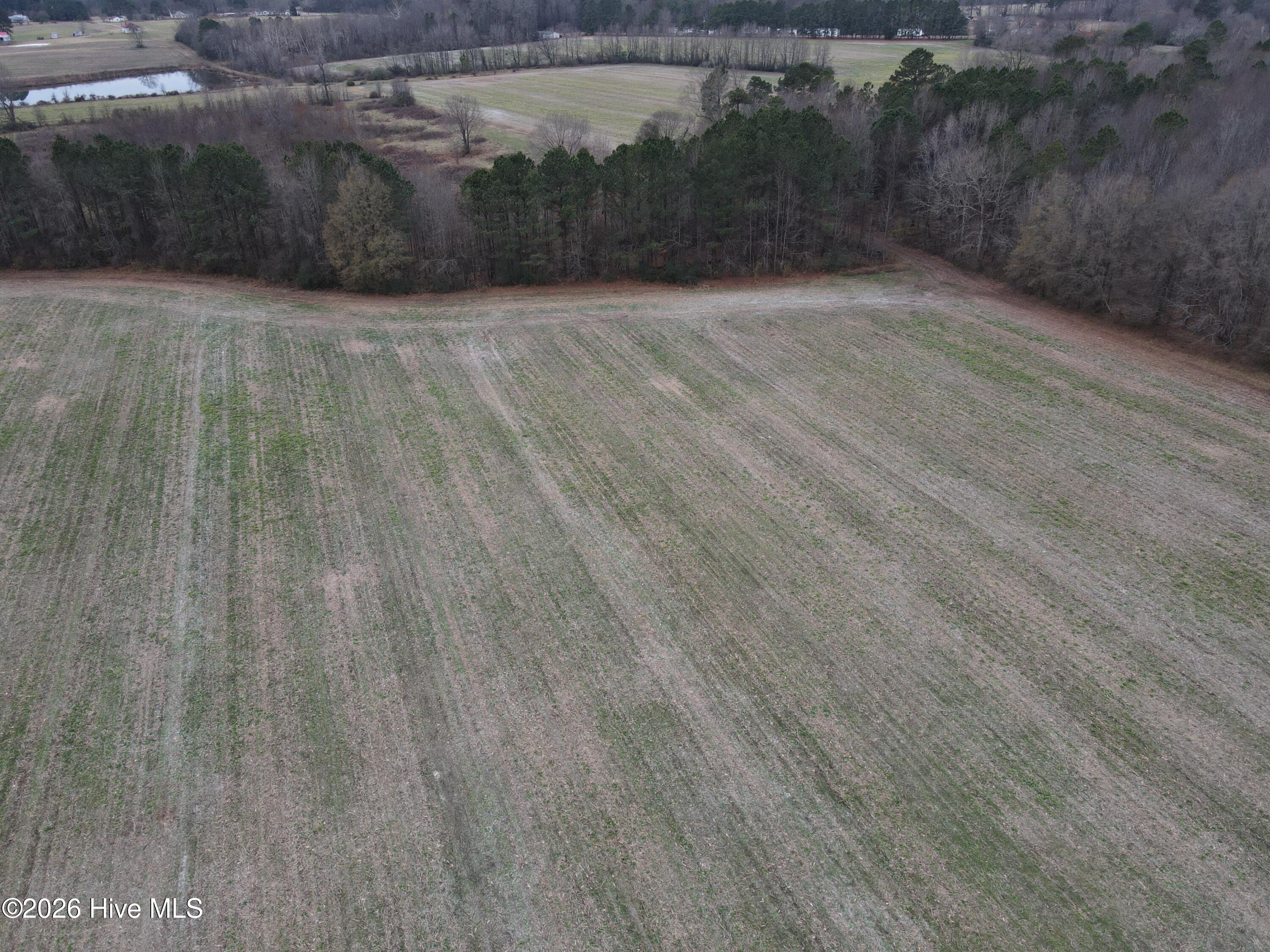 8201 Cedar Grove School Loop Road Nashville, NC 27856 - Photo 35 of 68 CG MLS 35