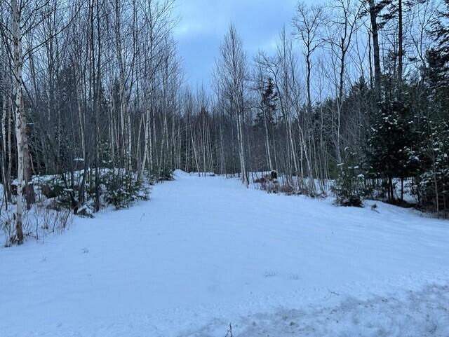 80 Silsby Road Ellsworth, ME 04605 - Photo 2 of 4 thumbnail_IMG_1824