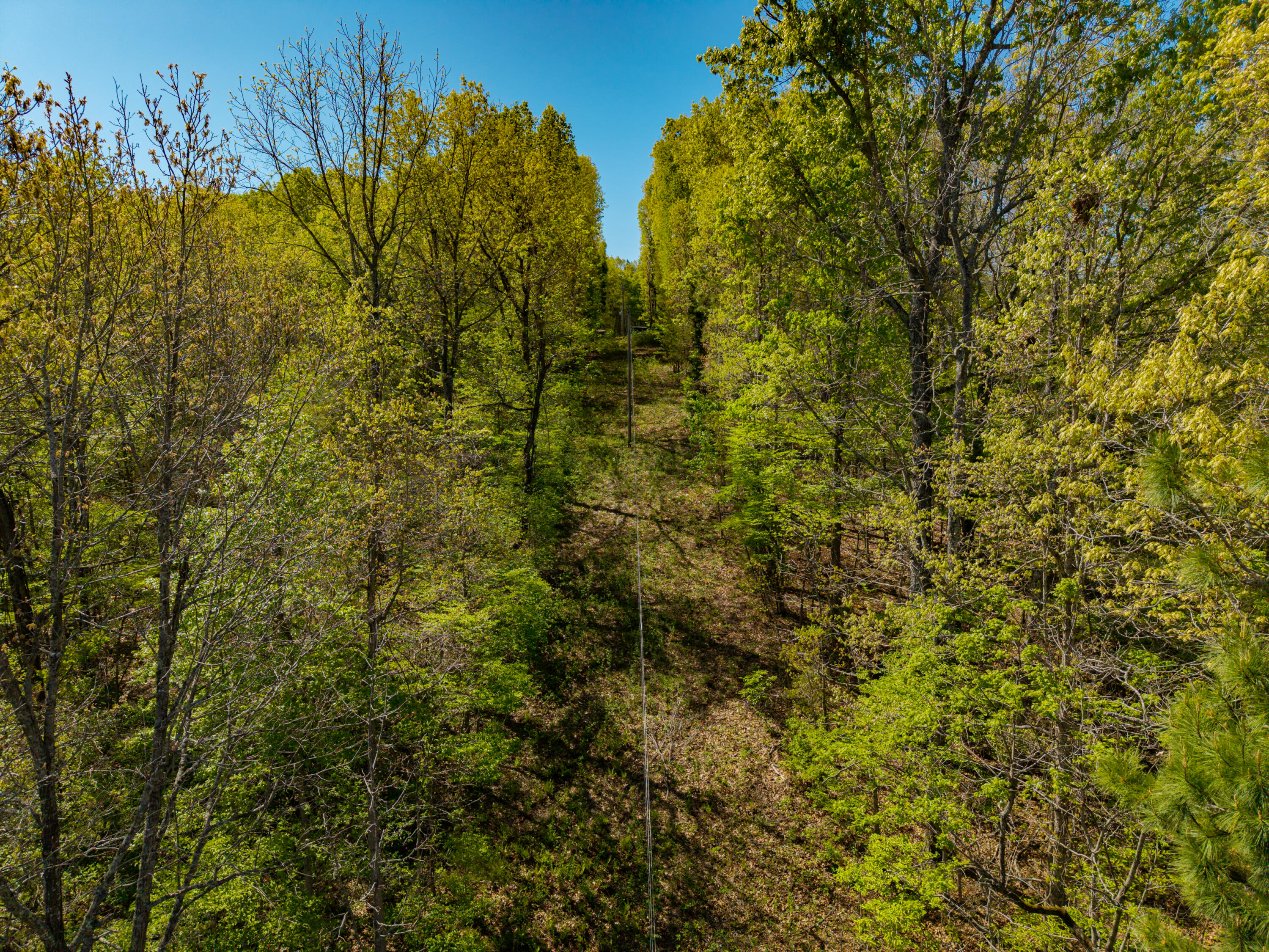 26557 Co Road Ava, MO 65608 - Photo 51 of 56 RR 72 Bx 290-22