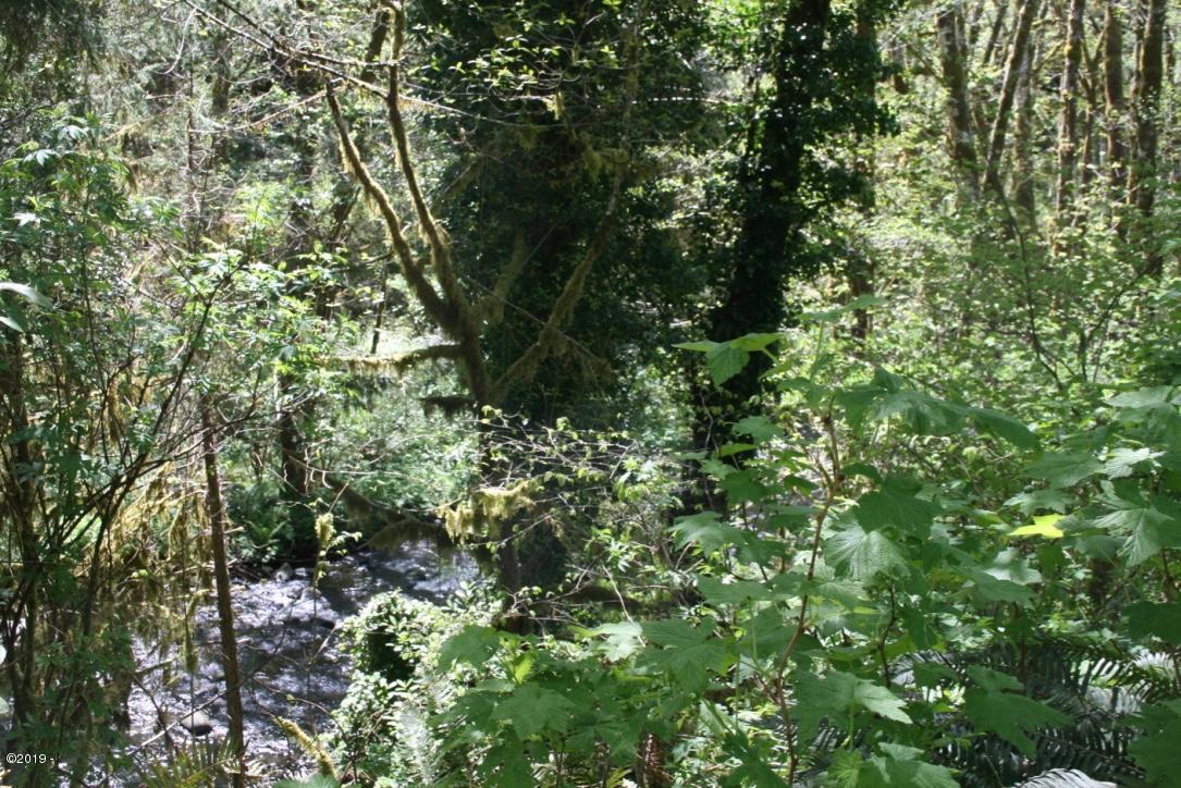 2600 North New Bridge Road Otis, OR 97368 - Photo 6 of 6 Image of Creek from Neighbors Back Yard