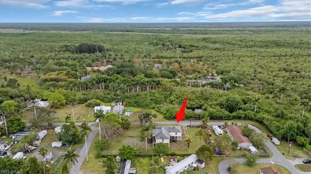 an aerial view of residential houses with outdoor space and trees