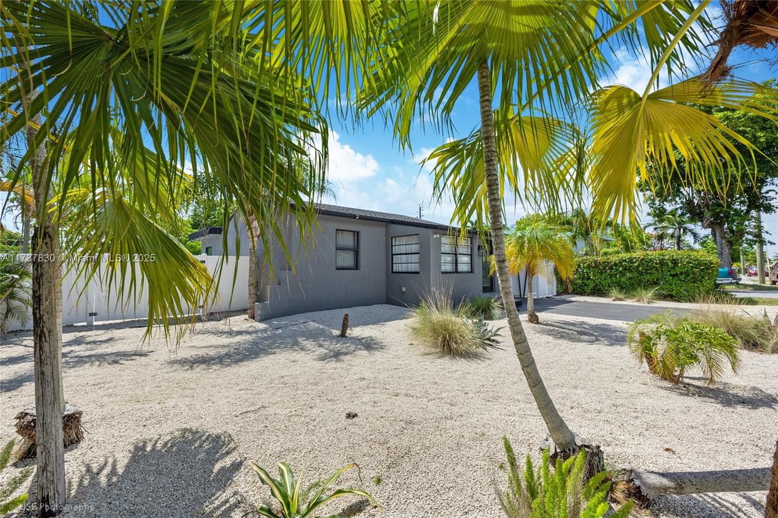 a row of palm trees in front of a house
