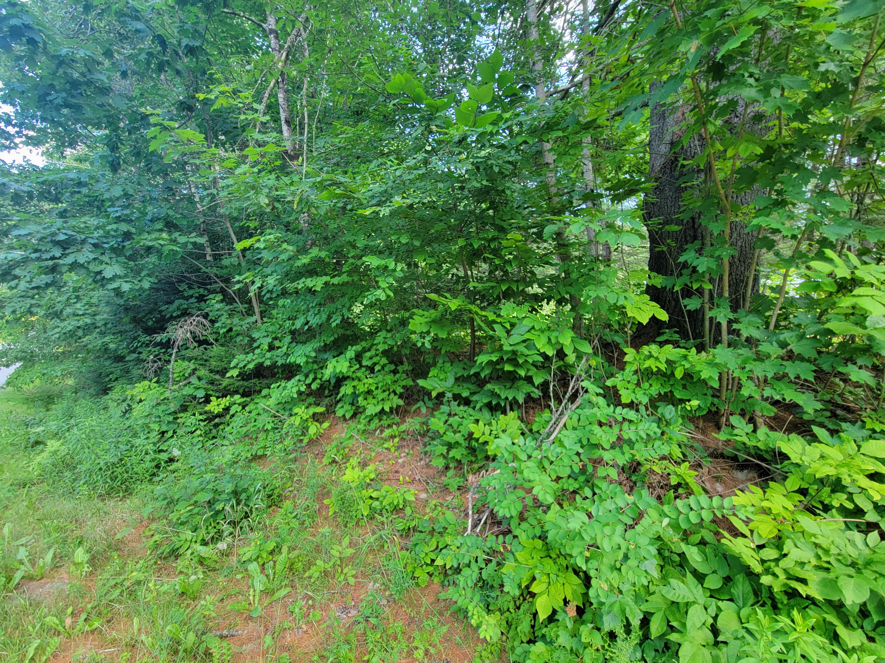 11111 Badgeboro Road Palmyra, ME 04965 - Photo 1 of 1 1000009329