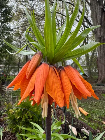 $299,900 | 424 North St Bernard Drive, De Pere, WI 54115