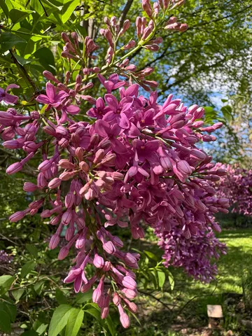 $299,900 | 424 North St Bernard Drive, De Pere, WI 54115