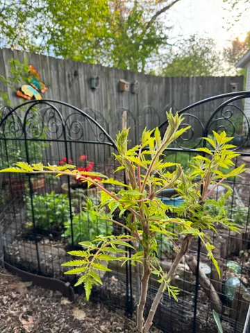 $299,900 | 424 North St Bernard Drive, De Pere, WI 54115