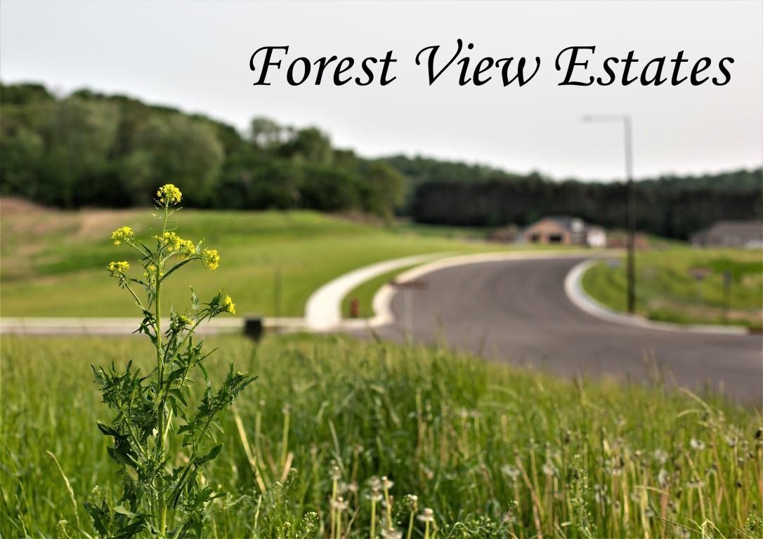 1 Forest View Estates
