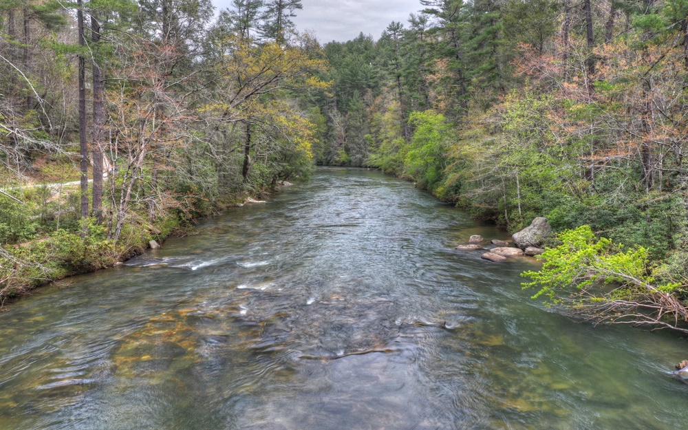 Flat Creek River Road Blue Ridge, GA 30513 - Photo 1 of 1 Main View
