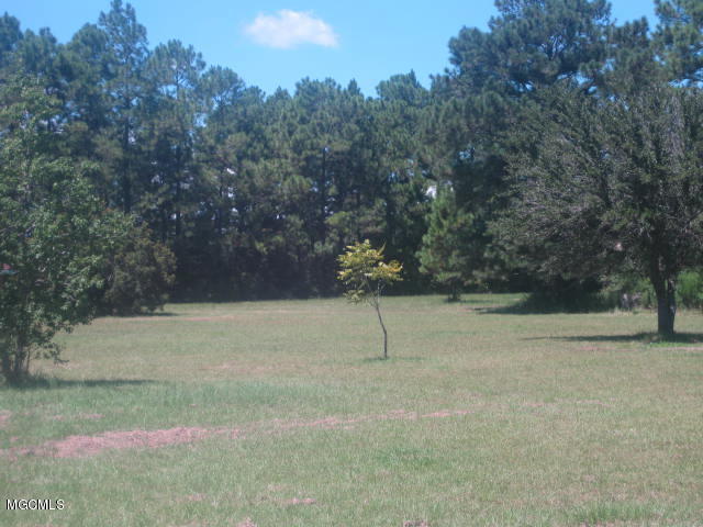 11249 Vidalia Road Pass Christian, MS 39571 - Photo 8 of 22 IMG_2706