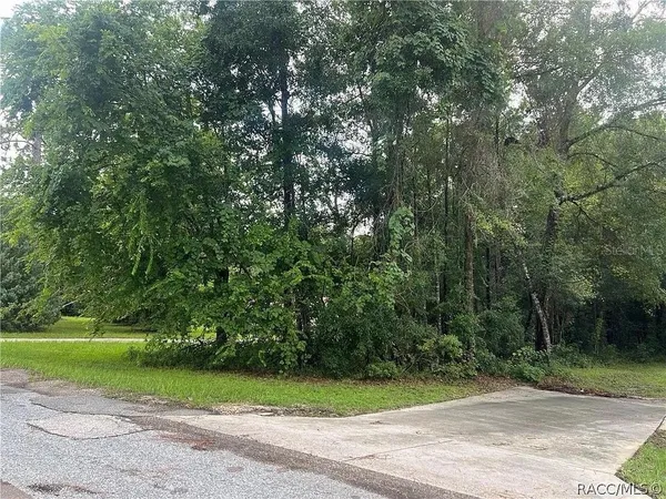 $30,000 | 178 South School Avenue, Lecanto, FL 34461